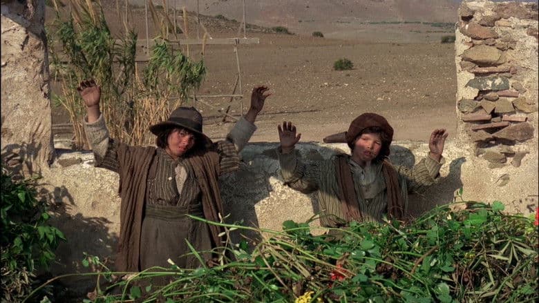 Scene from Cry, Onion!