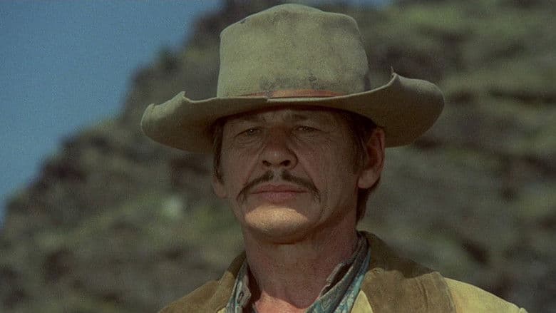 Scene from The Valdez Horses