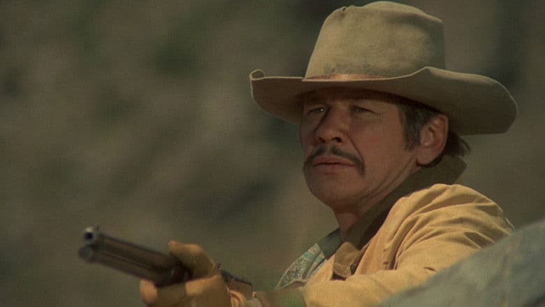 Scene from The Valdez Horses